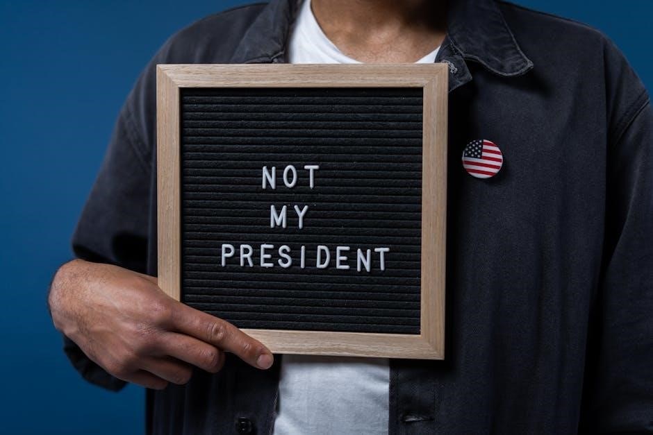 american democracy now pdf